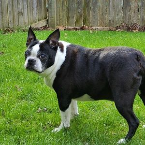 Meet your Posher, Donna